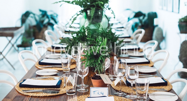 Features: Bentwood Chairs
