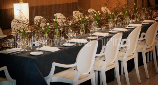 Features: Louis Ghost Chairs