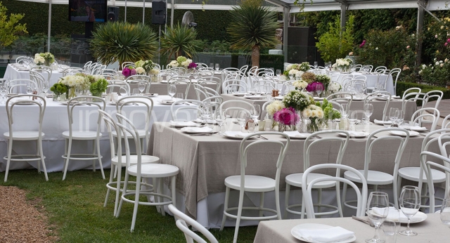 Features: Bentwood Chairs
