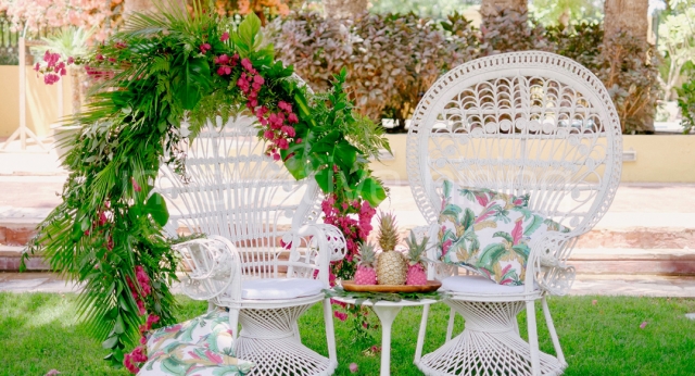 Features: Peacock Chair