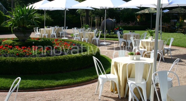 Features: Tolix Chairs