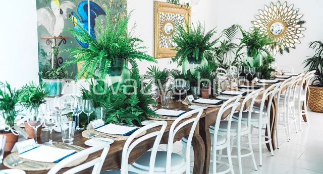Features: Bentwood Chairs