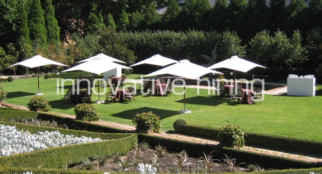 Features: Market Umbrellas