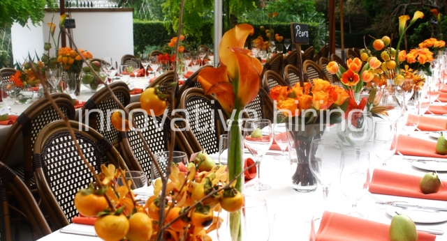 Features: Paris Chairs