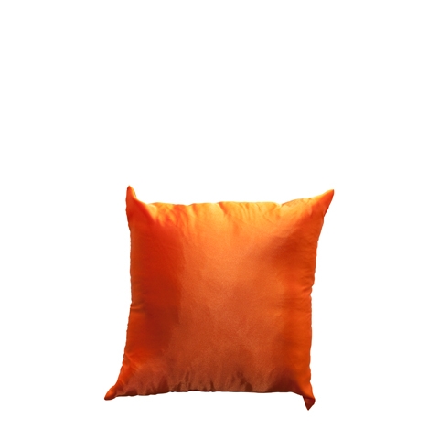 Satin Cushion