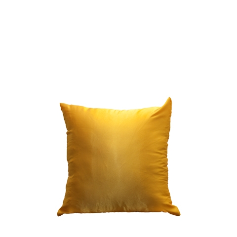 Satin Cushion