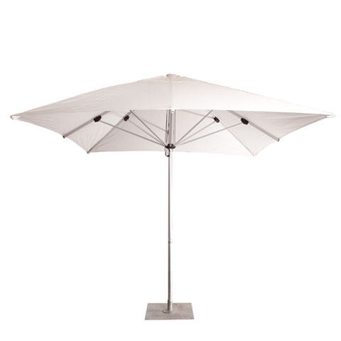 Market Umbrella
