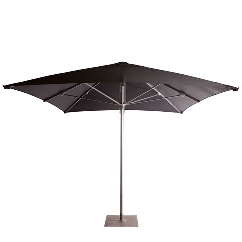 Market Umbrella