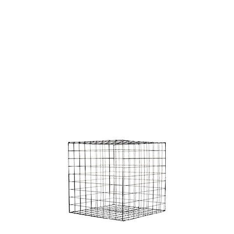 Wire Cube