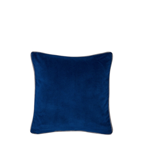 Velvet Cushion